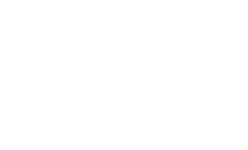 Forbidden Pleasures