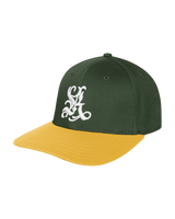 Reaven Green Creed Fitted Hat