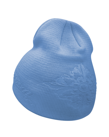 Reaven Sky Reavenism Beanie