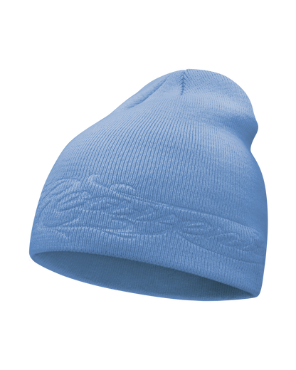 Reaven Sky Reavenism Beanie
